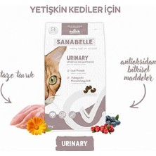 Starseven Sanabelle Urinary Idrar Yolu Problemli Kediler Için Mama 8 kg