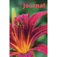 Starseven Journal: Spring Themed Journal