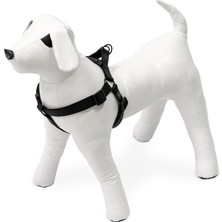Starseven Karlie Kilitli Göğüs Tasma, Köpekler Için, Xs, 20-35 Cm, Siyah