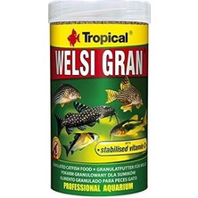 Starseven Tropical Welsi Gran 100GR Kovadan Bölme