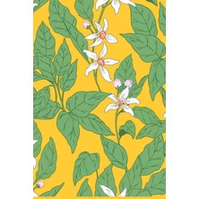 Starseven Orange Blossoms Journal