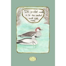 Starseven Independently Published The Greatest Wealth Is To Live Content With Little - Plato Quote With Smew