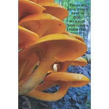 Starseven Independently Published Mushroom Daily Journal With Bible Verse: Psalm 61:2