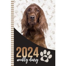 Starseven Independently Published 2024 Weekly Diary: Hardcover / 6x9 Dated Personal Organizer/daily Scheduler
