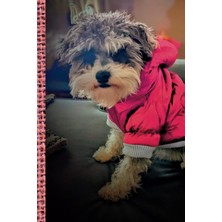 Starseven Blank Journal: Puppy Cuteness Cover