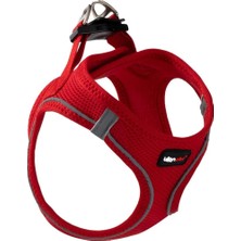 Starseven Leon Pet Air Mesh Kırmızı Göğüs Tasması Large