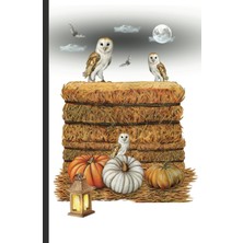 Starseven Independently Published The Barn Owls At Midnight Journal