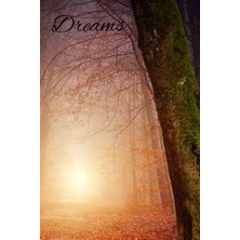 Starseven Dreams: Dreamin Journal