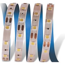 tp Buğz 1 Adet 5 Metre Cata Ct 4481 Iç Mekan 10 Çipli Şerit LED 12V 3200K Gün Işığı