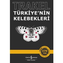 Hatıra Kutusu Trakel - Türkiye'nin Kelebekleri