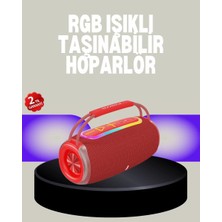 SHC4200 Hoparlör Rgb Işık Efektli Usb/sd/aux Destekli