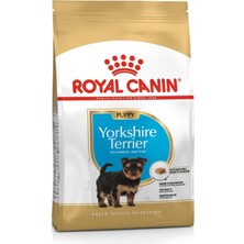 Starseven Yorkshire Junior Yavru Maması, 1,5 kg