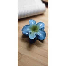 Starseven Lotus Toka Renk