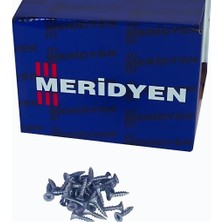 Starseven 1006981 Sunta 6.0X80 100 Lü Paket Vidası