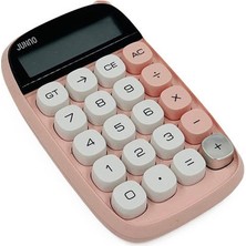 Renas Store ZR733 JN-660 Junno Pembe Hesap Makinesi