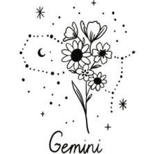 Starseven Gemini Sign Journal