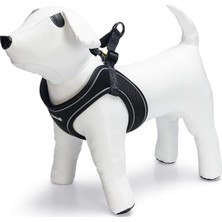 Starseven Beeztees Göğüs Tasması, Neopren, Siyah, M, 41-46CM