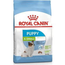 Starseven x Small Puppy 1,5 kg