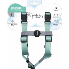Starseven M-Pets Gentle Dog Göğüs Tasmasi Green (S)