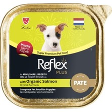 Starseven Plus Pate With Salmon Mini Küçük Irk Yavru 85 gr Tekli Paket