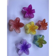 Starseven Pembe Lotus Çiçek Parlak Akrilik Kadın Mandal Toka, TYBIUDC0KIF4AHV491