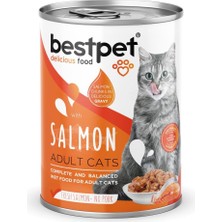 Starseven Bestpet Kısırlaştırılmış Kediler Için, Taze Somon Parça Etli Soslu Yaş Mama, 400 G x 12 Adet