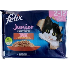 Starseven Felix Junior Yavru Yaş 85GR 4lü