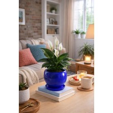 Evdek Tabaklı Lacivert Tombul Çömlek Saksı 16X15 cm