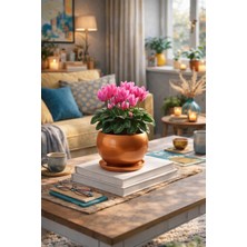 Evdek Tabaklı Bronz Tombul Çömlek Saksı 16X15 cm
