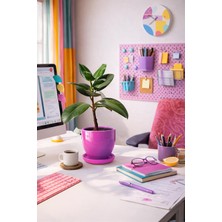 Evdek Tabaklı Pembe Çömlek Saksı 19X19 cm