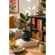 Evdek Tabaklı Haki Yeşil Tombul Çömlek Saksı 22X21 cm