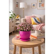 Evdek Tabaklı Koyu Pembe U Çömlek Saksı 16X16 cm