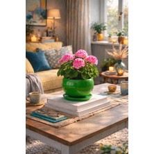 Evdek Tabaklı Yeşil Tombul Çömlek Saksı 16X15 cm