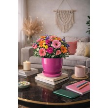Evdek Tabaklı Pembe U Çömlek Saksı 24X24 cm