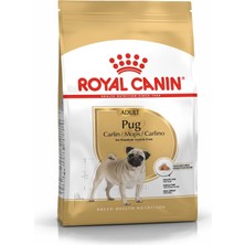 Starseven Pug Adult Kuru Maması, 1.5 kg