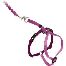 Starseven Petsafe Come With Me Kitty Koşum Takımı Bungee Tasma, Kediler Için Koşum, Büyük, Tozlu Gül/bordo