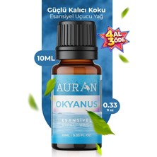 Starseven Auran Okyanus Esansiyel Uçucu Koku Yağı Buhurdanlık Yağı Difüzör Esansı Hobi Esansı 10ML