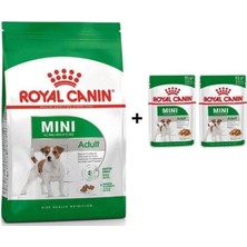Starseven Mini Adult 2 kg + 2 Adet Yaş Mama Hediye