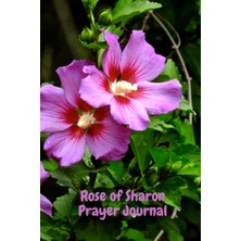 Starseven Of Sharon Prayer Journal
