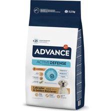 Starseven Dog Labrador 11,5kg