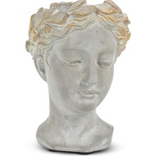 Starseven Abbott 27-APHRODITE-535-XS Extra Small Kadın Baş Saksısı, Gri/altın