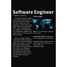 Starseven The Elusive Software Engineer N-Book: Journal