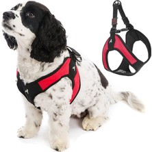 Starseven Gooby - Escape Free Easy Tasması, Yemek Takımlarından Kaçmayı Seven Köpekler Için Küçük K