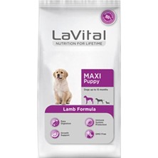 Starseven La Vital Maxi Puppy Lamb Kuzu Etli Yavru Maması, 15 kg