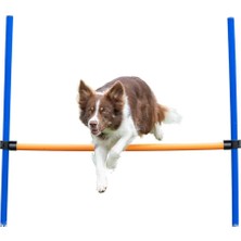Starseven Trixie Agility Eğitim Manisi , 123×115×Ø3 cm