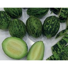 Starseven Doğal Kavun Hıdır (Turşuluk)