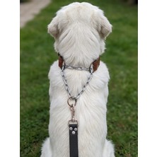 Balkonda Köpek Boyun Tasması Ayarlanabilir Orta, Büyük ve Çok Büyük Irk Deri Tek Zincir