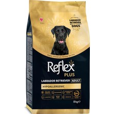Starseven Plus Labrador Retriever Hipoalerjenik Yetişkin 8 kg