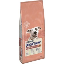 Starseven Dog Chow-Purina Somon Balıklı Yetişkin 14 kg