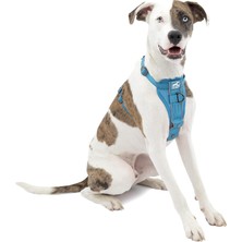 Starseven Kurgo Koşum Takımı | Pet Walking Koşum Takımı | No Pull Koşum Ön Klips Fonksiyonu Antrenman I
